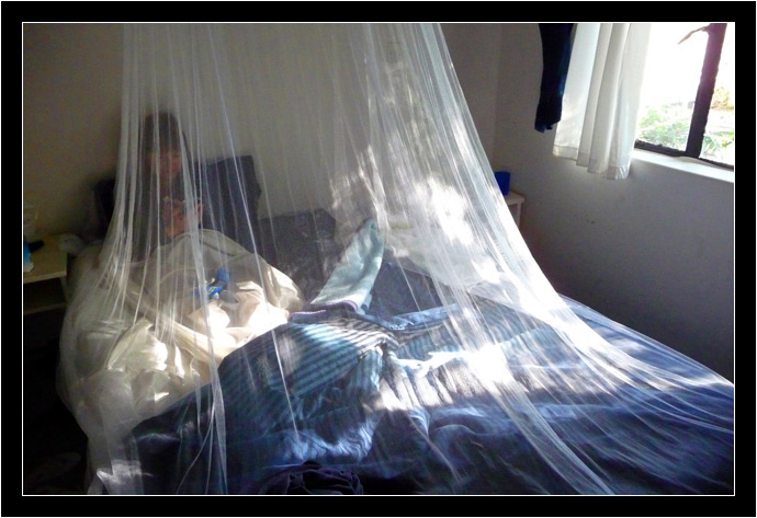 Anti-malarial protection number 1